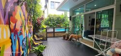 Dyson Road (D11), Terrace #448379491